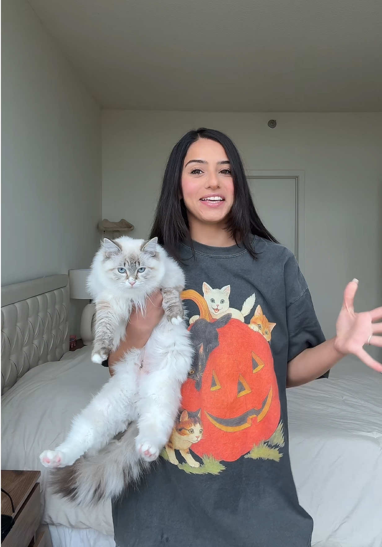 the perfect fall shirt for cat lovers 🎃🐱 #tiktokshopfinds #catmom #halloween #fallmusthaves #ragdoll 