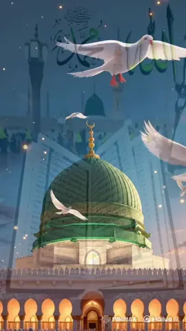#beshak #SubhanAllah🥰 #freepalestine🇵🇸❤️ #queenraaz👸🤴 