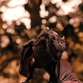 Drogon the dragon you are 🙌 || sdt: @Prix || #fyp #foryou #drogonedit #drogon #gameofthrones • | topaz: my prixy 😝 •| cc- sunlit (releasing on my payhip soon) • || • || @ｏｂｌｉｑｕｅ @✧ ☽ 𝐀𝐧𝐝𝐲 ☾ ✧ @alice @✰ema✰ @Ɗ ƛ Є Ɲ ƛ ❦ ☽ @-LUCAS- @nerdy @❥𝕂𝕚𝕣𝕒🏹 