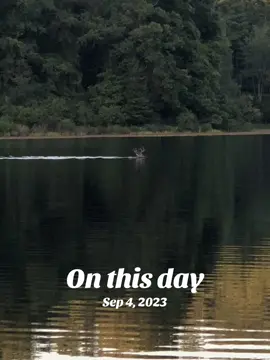 Here deer deer #onthisday 