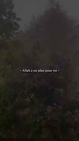 #islam #rappels_islam #pourtoi #fyp 