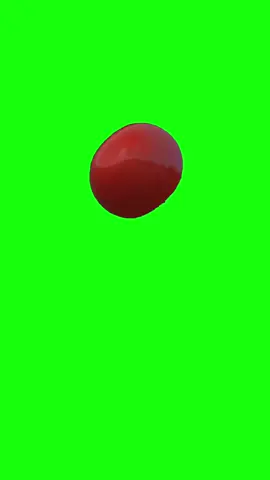 Tomato Throw Then Splat | Green Screen #boo #tomato #funny #meme #hate #fyp 
