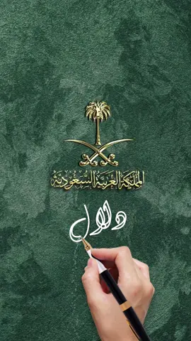 #يوم_الوطني💚💚🇸🇦 #يوم_الوطني95🇸🇦 