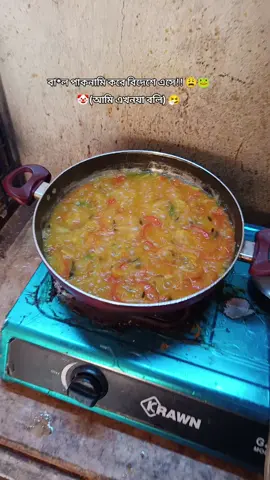 বা*ল পাকনামি করে বিদেশে এসে!! 😩🐸 🤡(আমি এখনযা বলি) 🤧