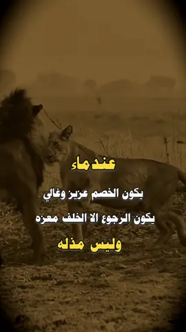 #طاقه النقاش عندي دقيقتين و الثالـثه أنت صح #اكسبلورexplore #FunkNoCapCut 