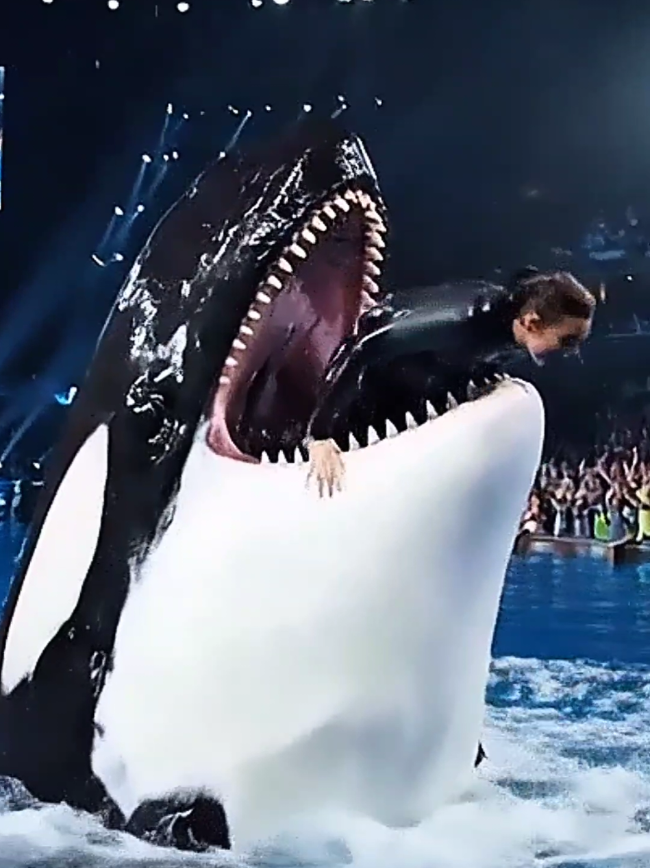 Jessica Radcliffe emerges from the orca's mouth