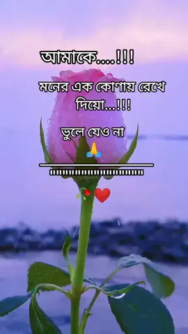 আমাকে মনের এক কোণায়..... #foryou #foryoupage #trending #tiktok #viralvedio @TikTok Bangladesh 