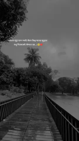 দেহের মৃত্যু হলে সবাই কাঁদে কিন্তু মনের মৃত্যুতে  শুধু নিজেকেই কাঁদতে হয়...!🥹💔 #foryou #foryoupage #fyp #mdmoine17 