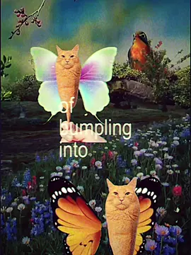 #corndogcat #cat #brainrot 