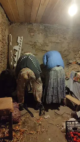 Веселун 
