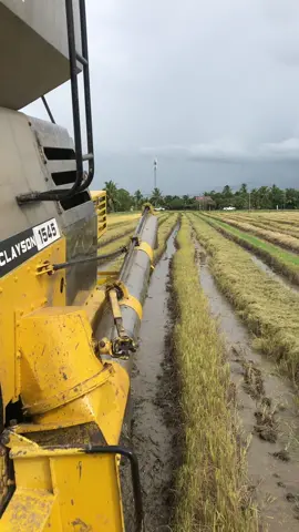 #fyp #gengpetani #gengsyed #lanunbendang🏴‍☠️ #newholland8060 @H🅰️KI〽️ @NaZ~RuL AzriN @paktam 🔥🔥 @syabil⚡️sonic @SMF AGRO🌾🔥 @smf agro @ipan12344 @KI〽️IE🩹 habuan 🥇 pertama lup