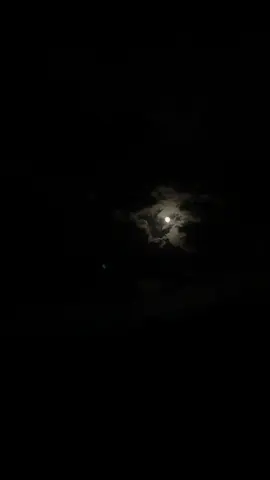 لوگ ڈپریشن ( Depression )میں جا کر مذھبی ھو جاتے ھیں مگر میں سمجھتا ھُوں خدا سے یہ مجبوری والا تعلق انسان کو زیب نہیں دیتا. 