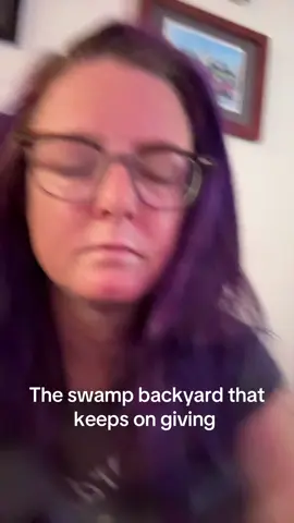this is just DUMB. You really think this is a job well done? No. I will fight this and be a thorn in their fucking side until it’s fixed properly. #apartment #apartmentlife #swamp #backyard #doineedmylawyer 
