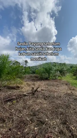 Kita sediakan walau pun cuma sedikit😁😁🌴 #sawittiktok🌴🌴🌴 #sawitkalteng #petanisawit #petanimudasukses #petanisawitindonesia🇮🇩 