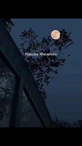 🫶🫰🥀