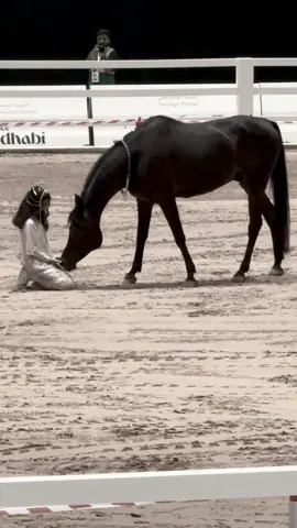 ماشاءالله تبارك الرحمن ❤️#خيل #خيل_وخياله🐎 #خيل_عربي #اكسبلور #foryou 