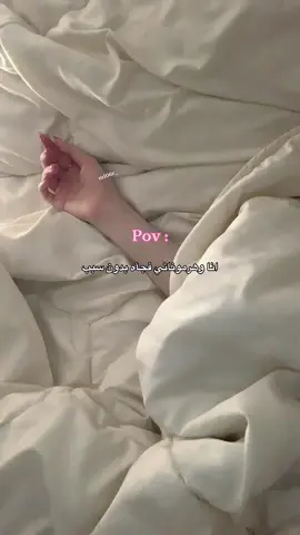 #اكسبلورexplore 