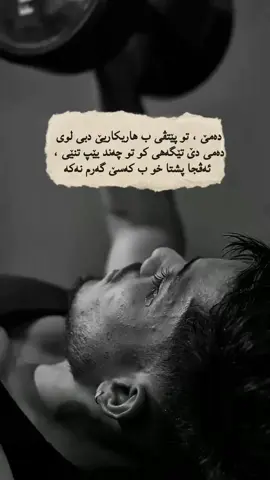 #creatorsearchinsights #پەیڤێن_زێرین #paiven_zerin #پەیف #پەیڤ 