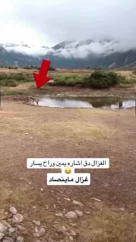 #مصر