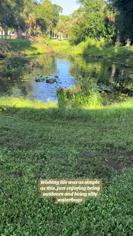 Don’t worry we will be building a fence so that way they can be safe from any predators. #dogsoftiktok #water #Outdoors 