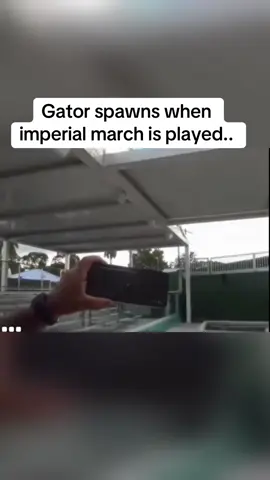 Gator loves Star Wars.. #viral #fyp #funny #meme #starwars 