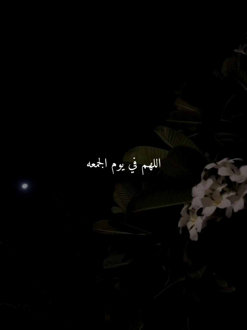 اللهم في يوم الجمعه..🤎 #يوم_الجمعه #اللهم_امين #ادعيه #ادعية_اسلامية_تريح_القلب #ادعيه_تريح_القلب 