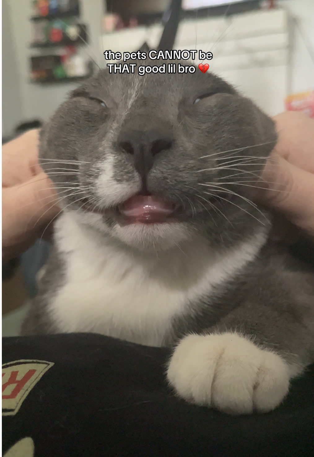 butters LOVES him some pets #cat #kitten #catsoftiktok #fyp #viral  