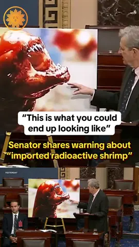 Louisiana Senator John Kennedy delivered a stark warning on the Senate floor Wednesday using a still from the movie, “Alien”: “This is what you could end up looking like” if you eat the radioactive shrimp that were recently pulled from the shelves of Walmart, which he says were imported from other countries. #shrimp #senate