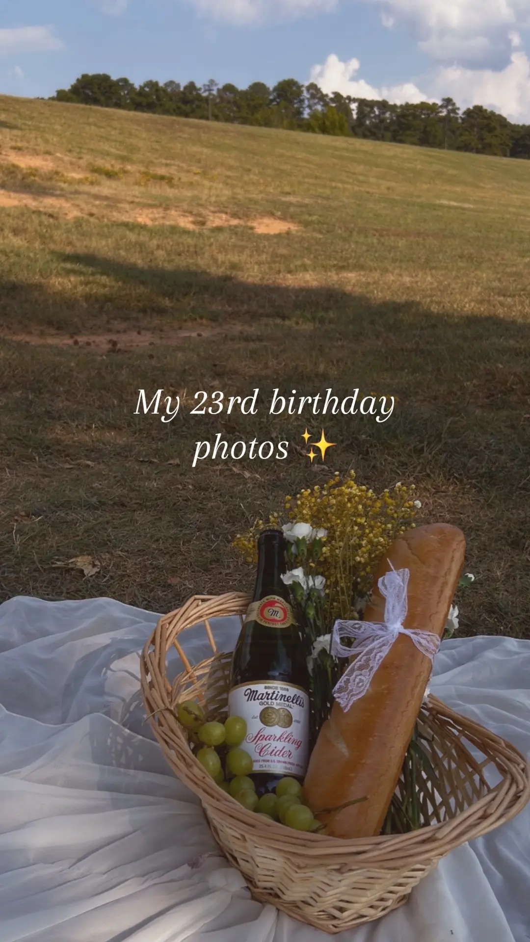 Thanks Pinterest for all the inspo on anything 😅  #birthday #photoshoot #explore #fy 