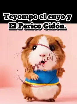 Te yompo el cuyo y el perico gidon. #LanguageLearning #comedia  #humor #fypシ゚viral #trend 