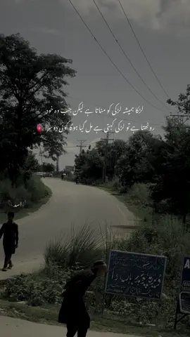 Lines🌸🫀#darde_dil #fypppppppppppppp #fyp #unfrezzmyaccount #foryouu 