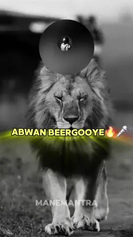 #saleebanimo💚 #@BEER GOOYE WIIL REER MUUSE🔥🔥 @ṢHÂÅҞÅ 🦁🔥 @AARKA  R . X . S 