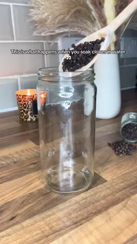 From clear to powerful, would you try clove water? #cloves #clove #cloveswater 