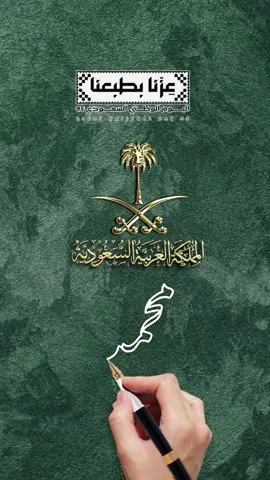 #يوم_الوطني💚💚🇸🇦 #يوم_الوطني95🇸🇦 #السعودية🇸🇦 #95 #السعودية_الرياض 