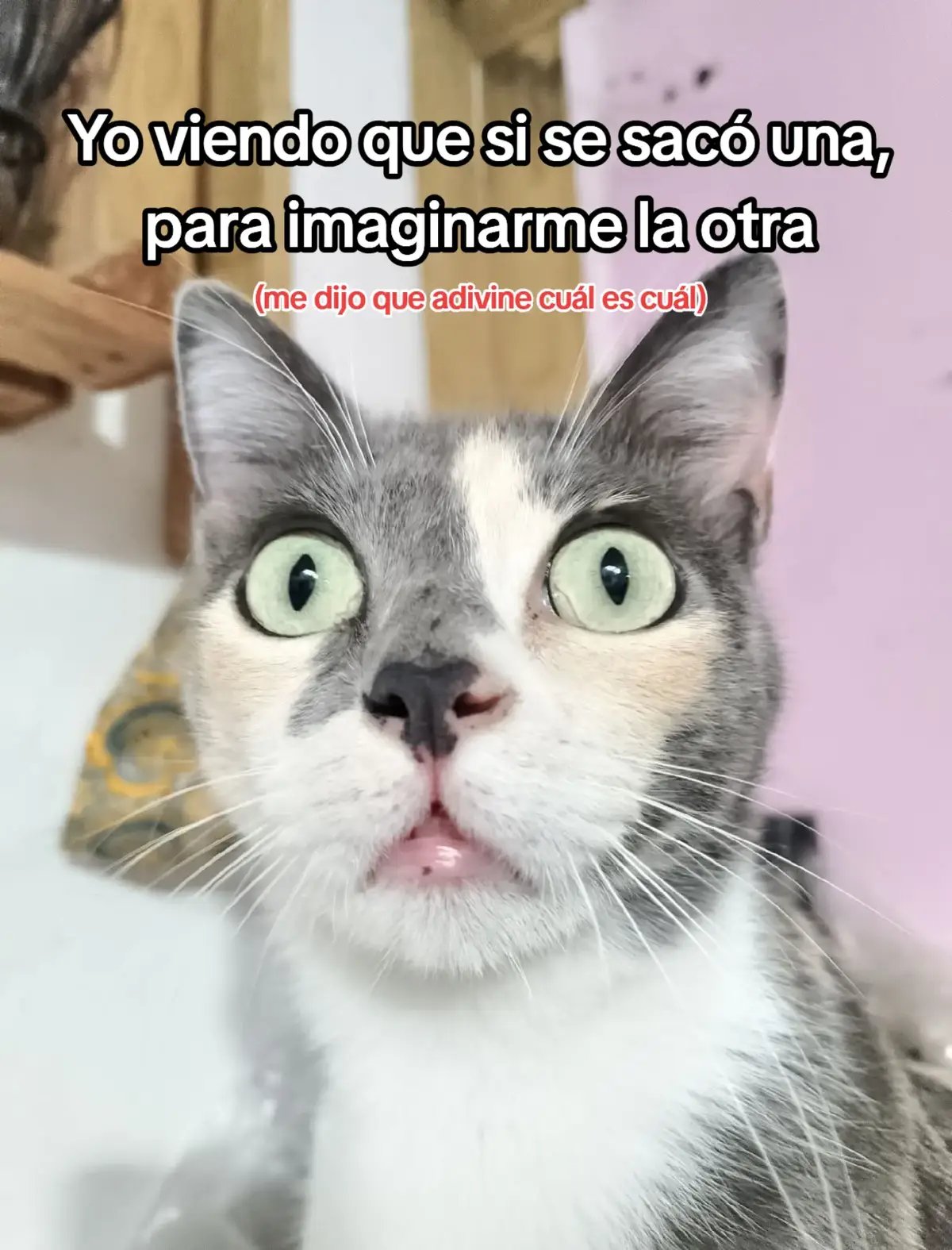 imposible #paratiiiiiiiiiiiiiiiiiiiiiiiiiiiiiii #tiktok #fyp 