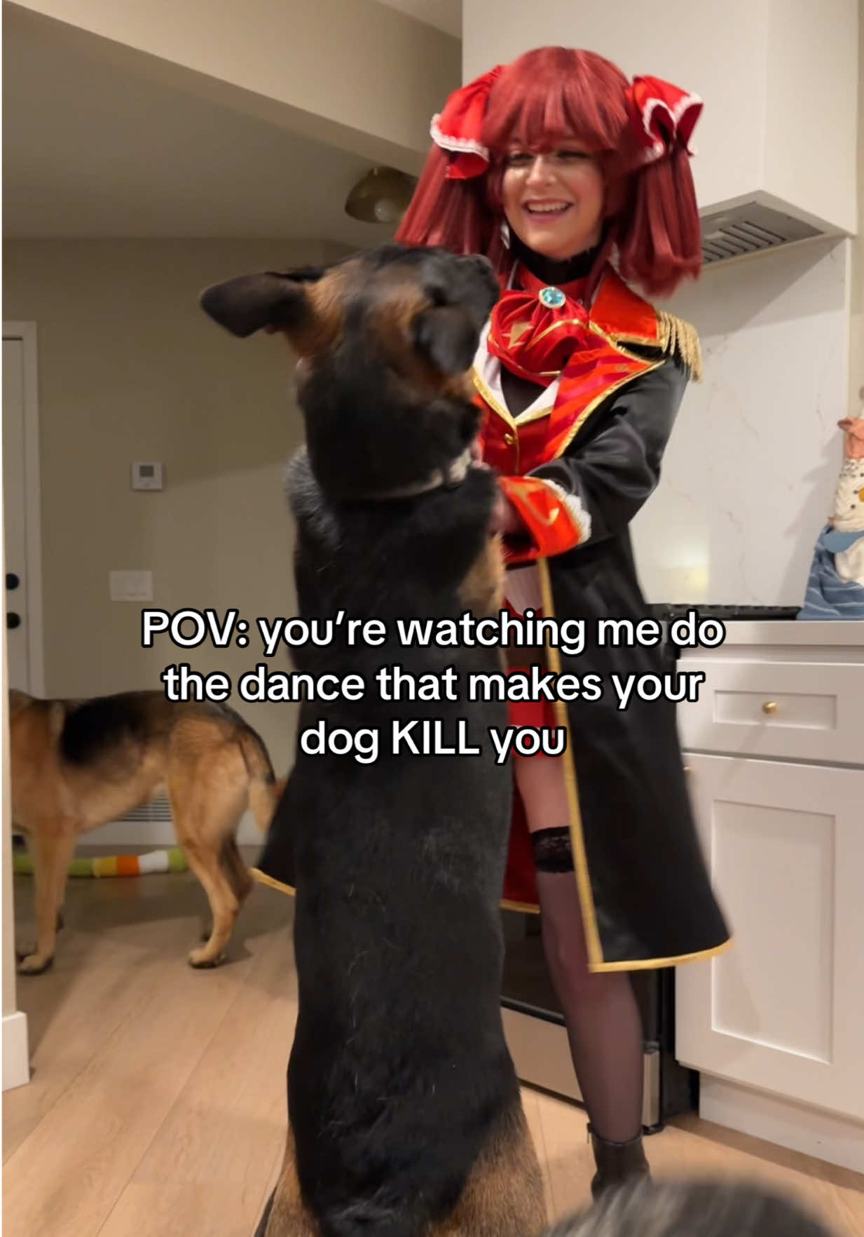 I am starting to consider if my dogs are houshou marine fans or not .. thinking about this video .. most likely not ,,  Anime impulse posting !! ahh !! i had soso much fun!! i hope everyone who attended had a blast much as well !!  #houshoumarine #houshoumarinecosplay #germanshepherd #cosplaygirl #hololive 