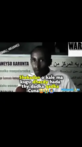 dhamayso vediogan adaa qosline😭😂#somalitiktok12 #haighlight #viralvideos #fypppppppppppppppppppppppppppppp #mohamett🇸🇴 
