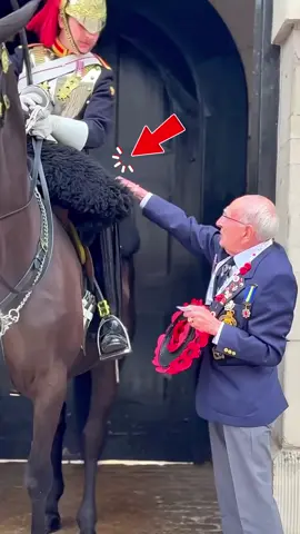 Respect moments king guard horse #kingguard #royalguard #horseguardsparade #respect #foryou 
