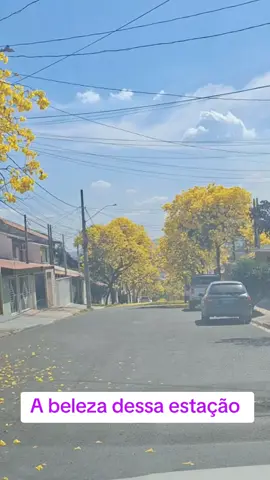 Primavera chegou !!