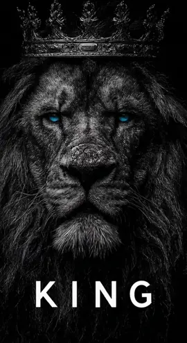 live wallpaper #8kwallpapers #4kwallpapers #hdwallpapers #wallpapers #fyp 