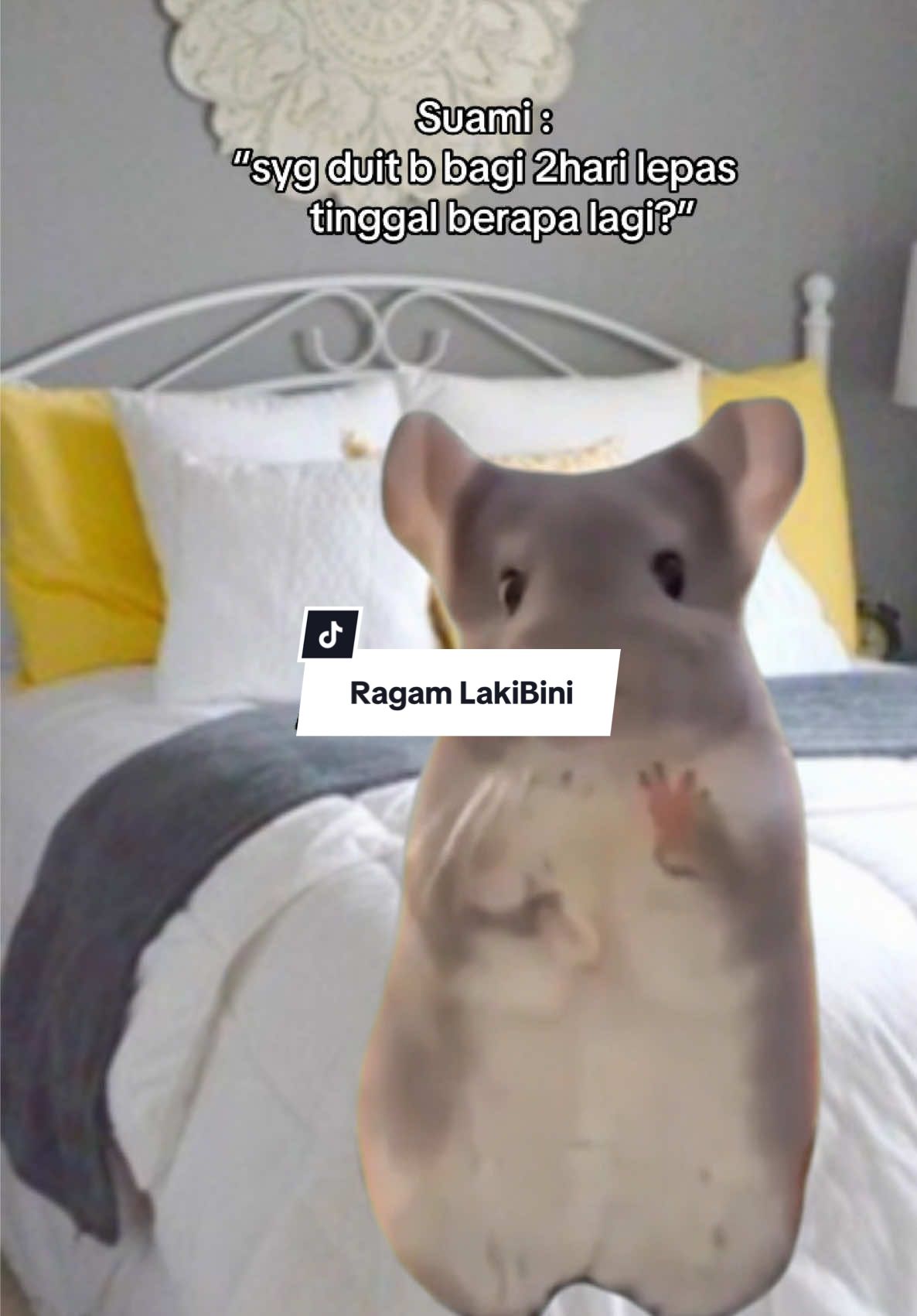 #MemeCut #Meme #MemeCut 