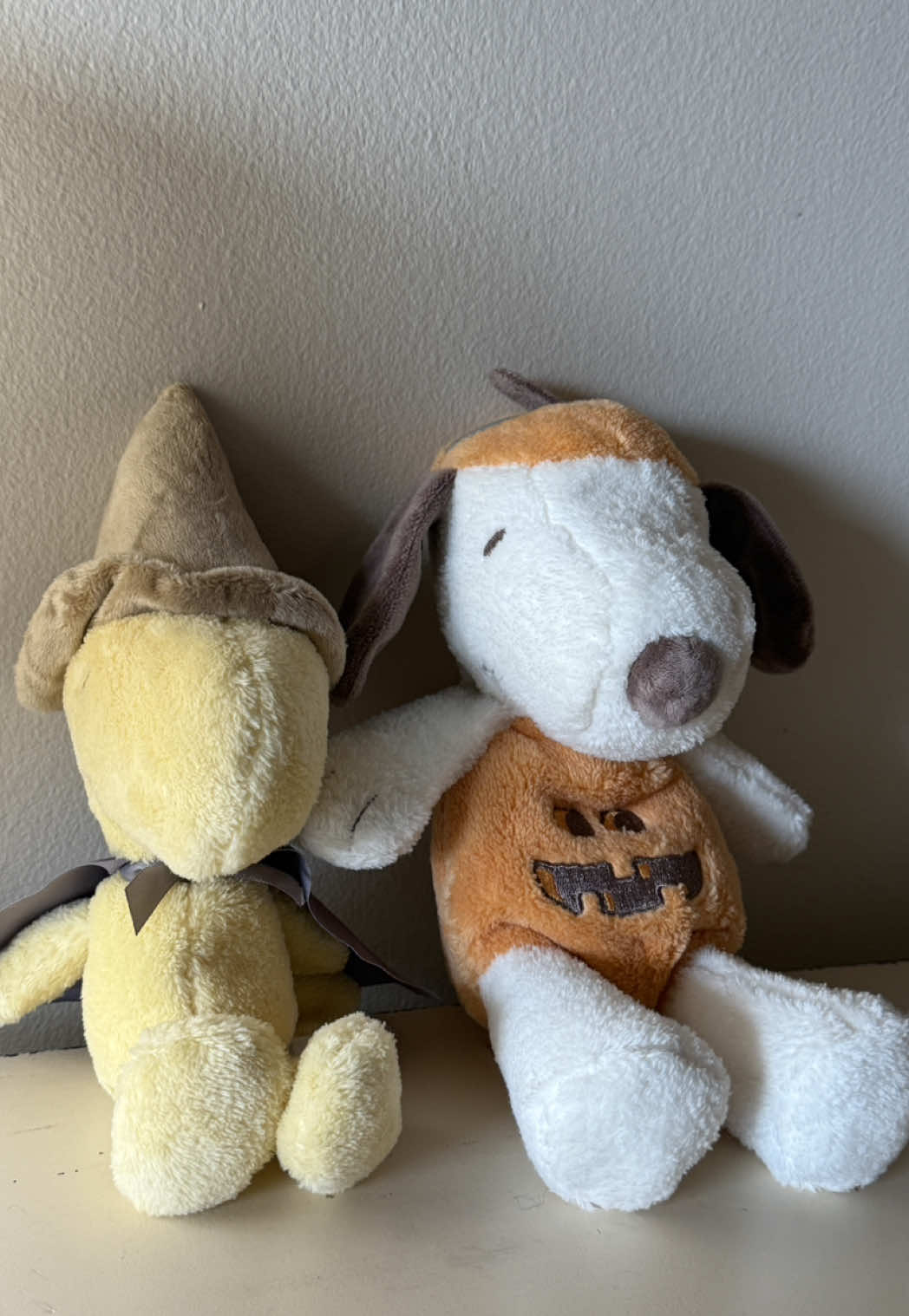 Found the cutest Halloween Snoopy and Woodstock plushies 🎃🤎🍂 