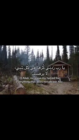 #muslimah #quran #قران 