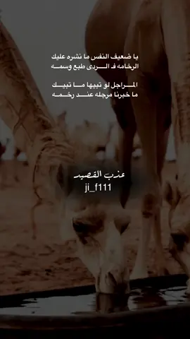 #عذب_القصيد #محمود_الجبلي #tiktokarab #الشعب_الصيني_ماله_حل😂😂 #مشاهدات 