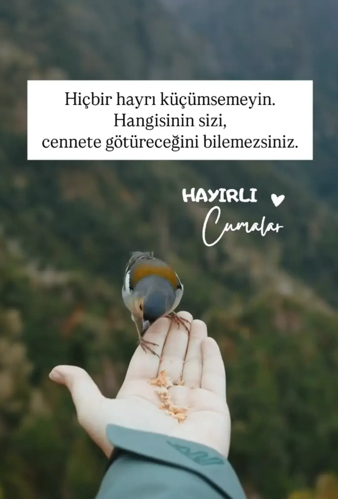 #keşfetöneçıkar #hayırlıcumalar #allahım #hayırlıcumalar #🌹❤️🙏 