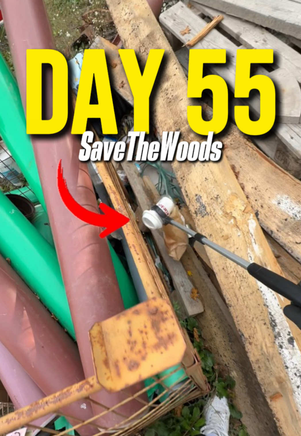views DO matter🙁🌳… #day55 #trash #woods #cleaning #fyp 