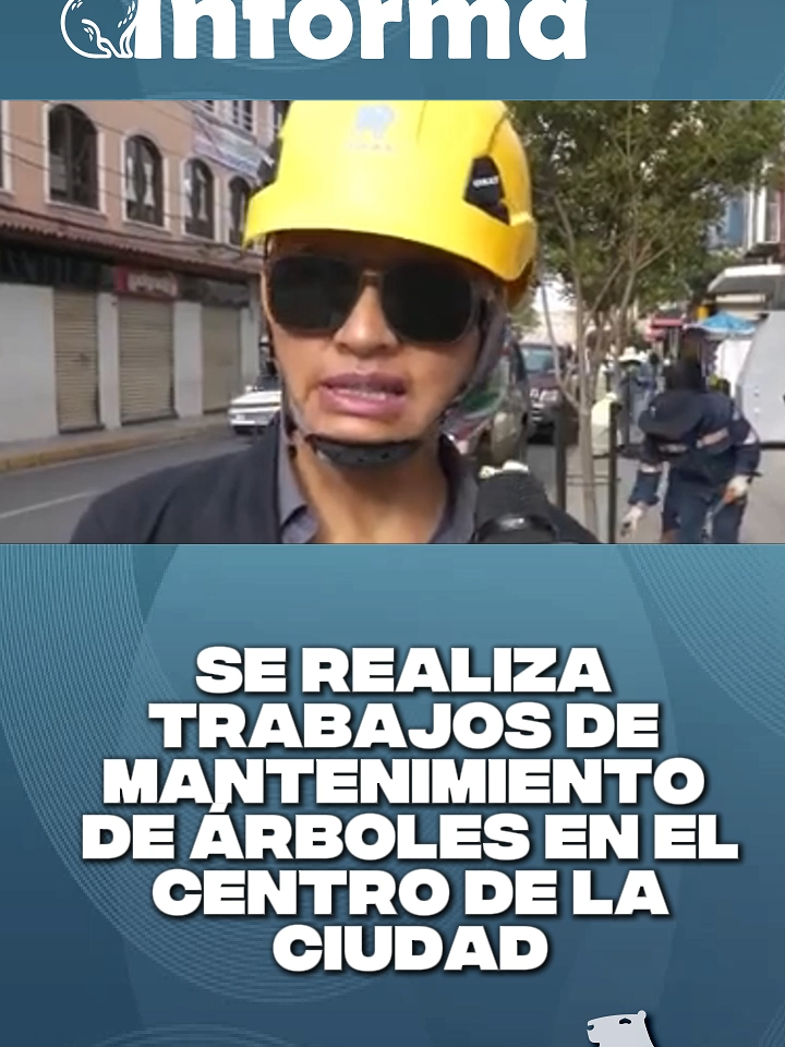 La jefa de la Unidad Forestal, Sara Jiménez, informa sobre los trabajos de mantenimiento de árboles en el centro de la ciudad