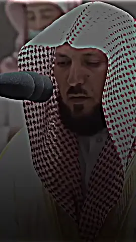 🍁 القارئ : ماهر المعيقلي❤️❤️ #halal #قرآن_كريم_راحة_نفسية #قرآن #قرآن_كريم #muslim 