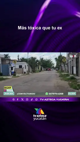 🟡 | Encontramos algo más tóxico que tu ex… Y sí, es esta alcantarilla en #Valladolid, #Yucatán. 🥴 @Angel.Novelo13 #aztecayucatan #noticias #satirapolitica