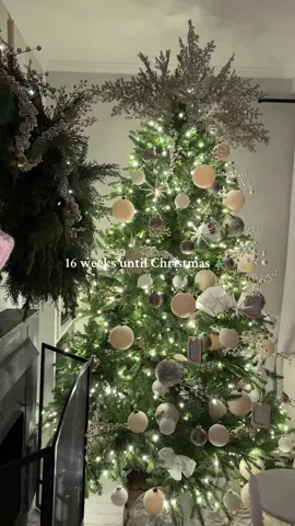 Only 16 weeks until Christmas 🎄! Y’all honestly I could wrap up fall and head to Christmas now 😂🥲.  #christmas2025 #christmasdecor #christmaseve 